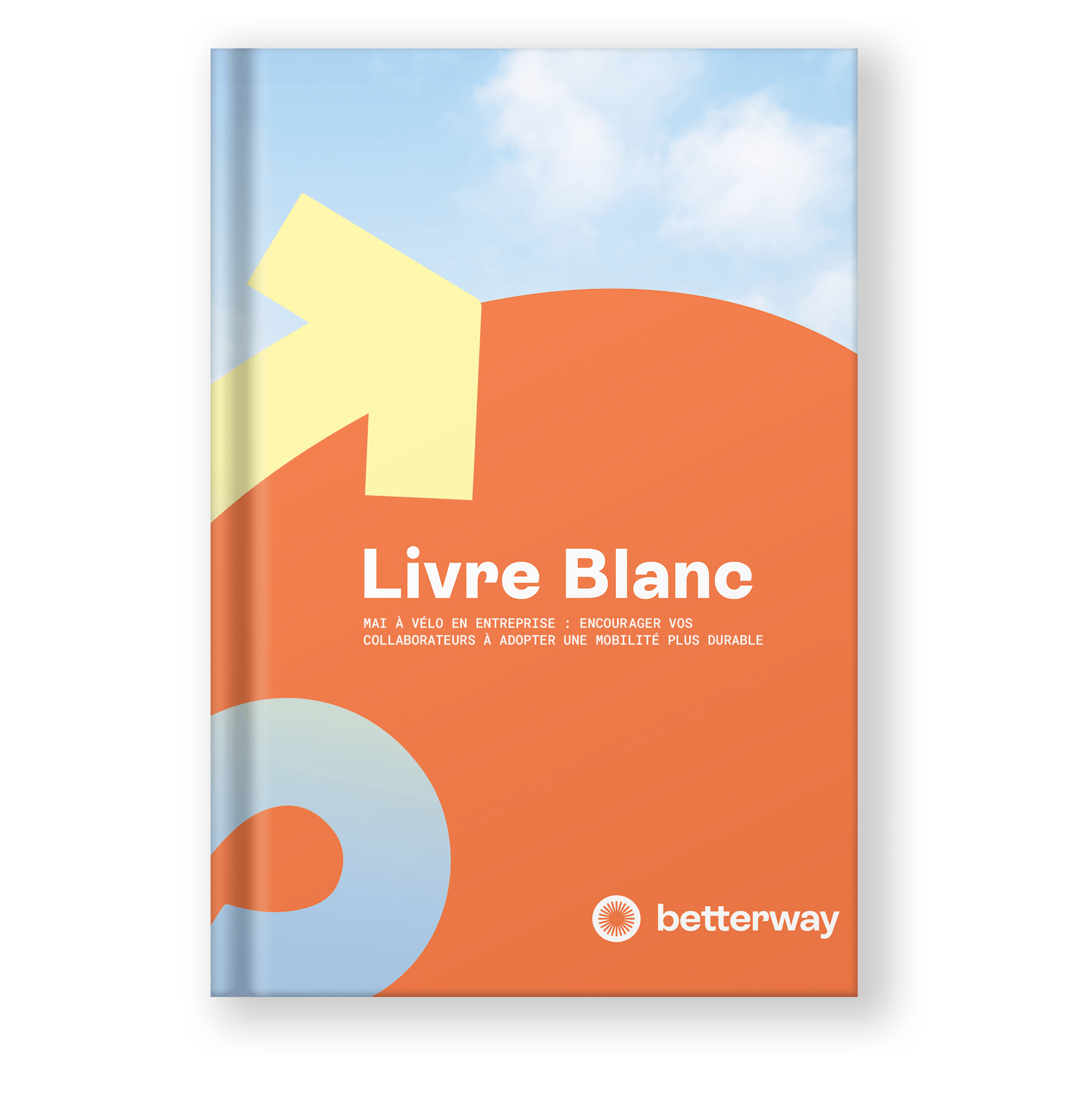livre blanc mai à vélo